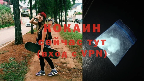 тгк Белокуриха