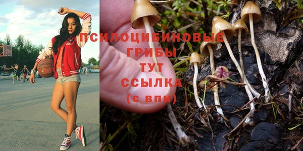 прущий лед Беломорск