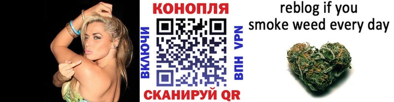 Бошки марихуана семена omg сайт Вятские Поляны купить